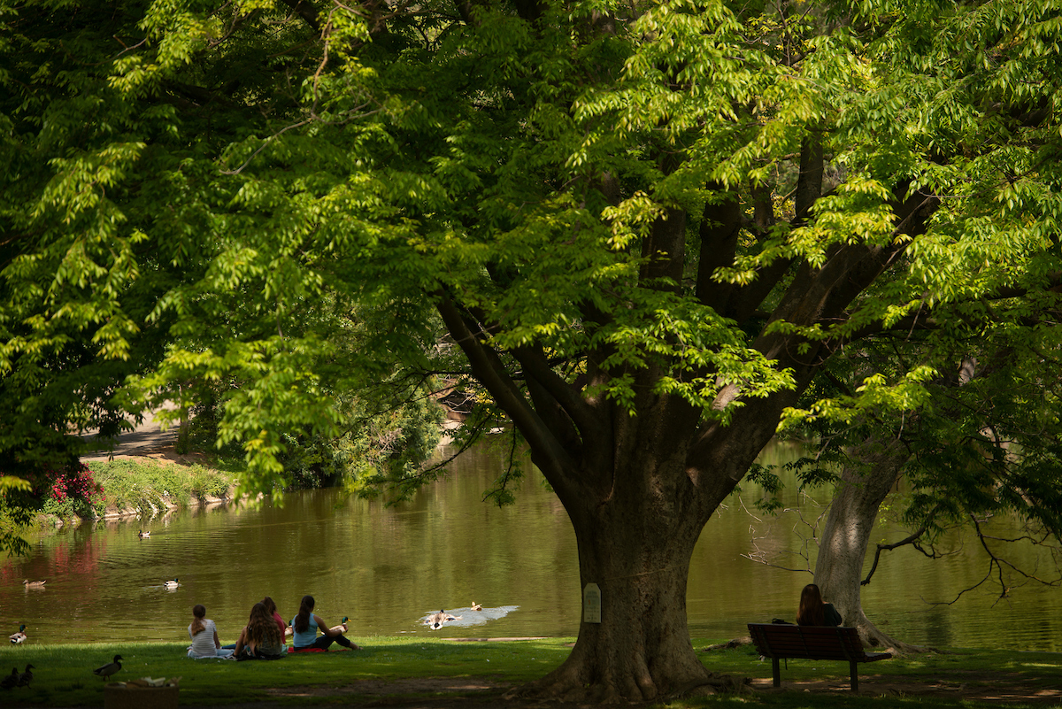 Students relax in the shade of a large tree by Lake Spafford in the Arboretum as ducks swim in the lake on May 1, 2018.  The spring weather is warm for students to study on the grass