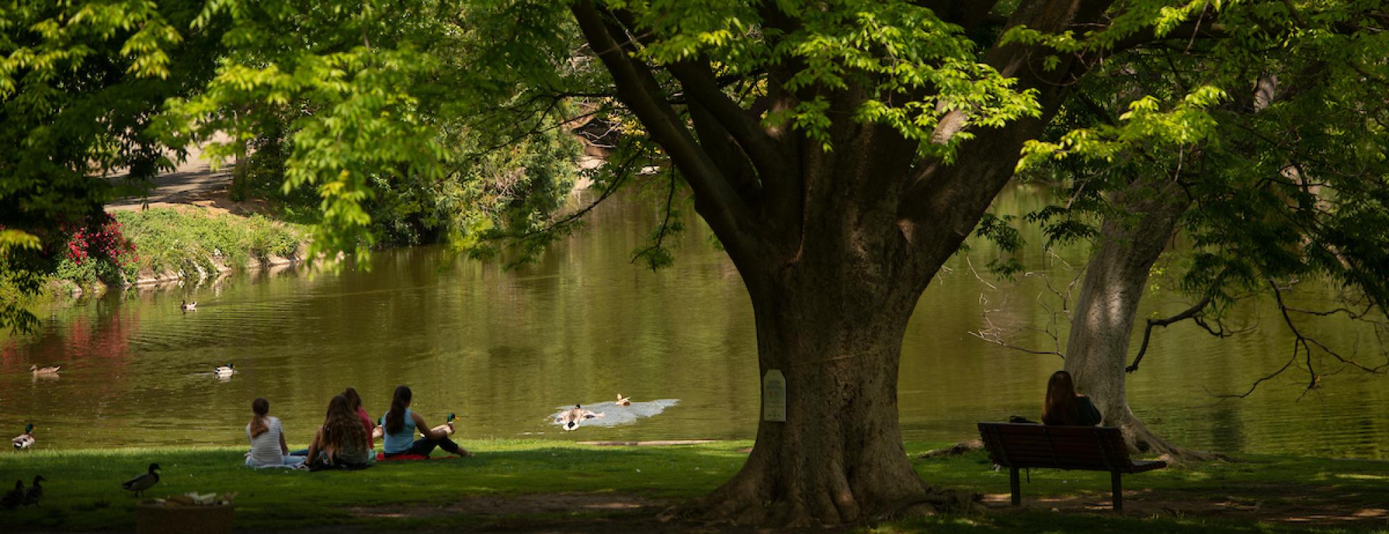 Students relax in the shade of a large tree by Lake Spafford in the Arboretum as ducks swim in the lake on May 1, 2018.  The spring weather is warm for students to study on the grass