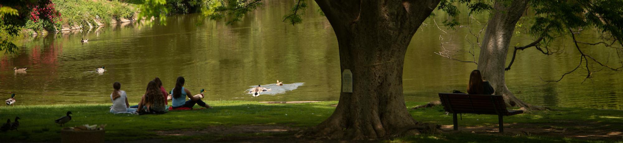 Students relax in the shade of a large tree by Lake Spafford in the Arboretum as ducks swim in the lake on May 1, 2018.  The spring weather is warm for students to study on the grass